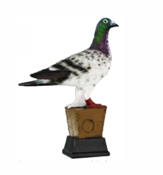 TROFEO CACCIA piccione