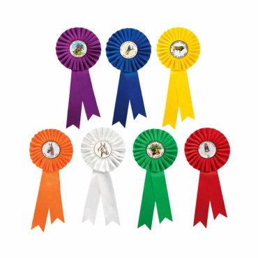 7458 - Coccarda Personalizzata Colorata Grande per Manifestazioni