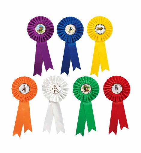 7458 - Coccarda Personalizzata Colorata Grande per Manifestazioni